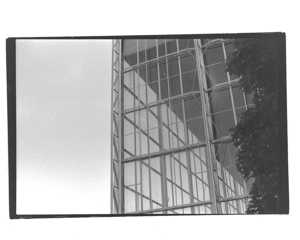 2011-11-12 Greyhound Track